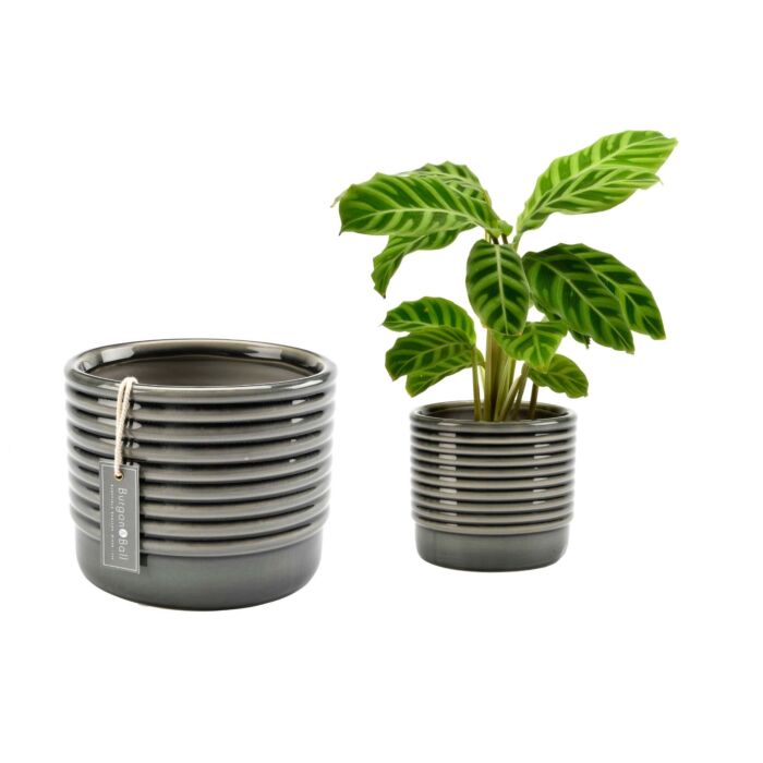Burgon and Ball Oslo Indoor Plant Pot - Grey